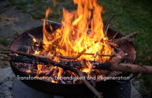Klangschalen, Kristall schalen, sound healing, meditation, entspannung, Yoga nervensystem regulieren, selbstheilung musikalische Lesung musikalische begleitung Resilienz Training, Wofür brennst du, Wirbelsäulentherapie nach breuss, massage , Antar Mourna, magische Vagusnerv, regulierte Nervensystem