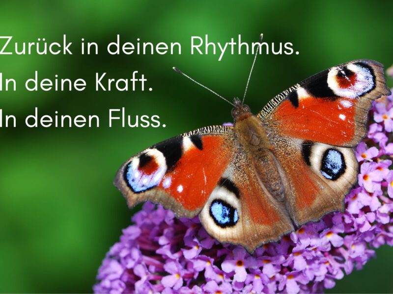 Zurück in deinen Rhythmus. In deine Kraft. In deinen Fluss.