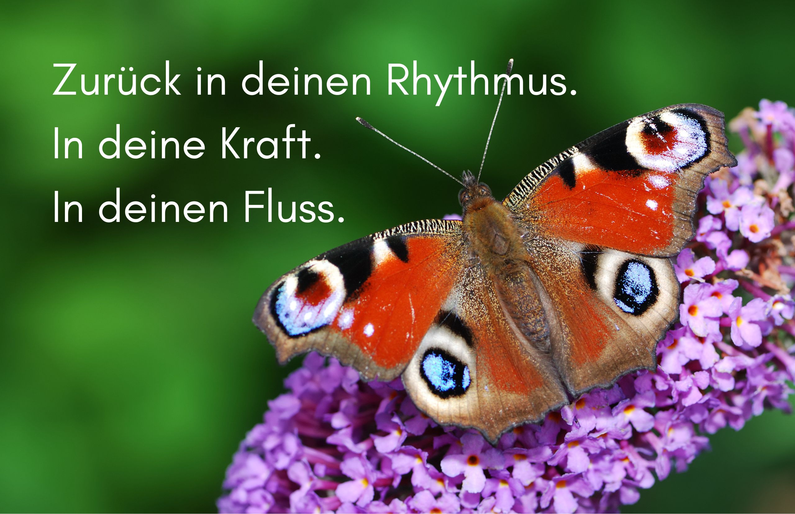 Zurück in deinen Rhythmus. In deine Kraft. In deinen Fluss.