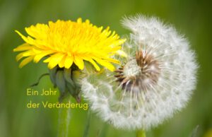 Klangschalen, Kristall schalen, sound healing, meditation, entspannung, Yoga nervensystem regulieren, selbstheilung musikalische Lesung musikalische begleitung Resilienz Training, Wofür brennst du, Wirbelsäulentherapie nach breuss, massage , Antar Mourna, magische Vagusnerv, regulierte Nervensystem