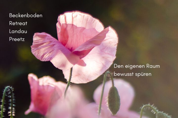 Klangschalen, Kristall schalen, sound healing, meditation, entspannung, Yoga nervensystem regulieren, selbstheilung musikalische Lesung musikalische begleitung Resilienz Training, Wofür brennst du, Wirbelsäulentherapie nach breuss, massage , Antar Mourna, magische Vagusnerv, regulierte Nervensystem