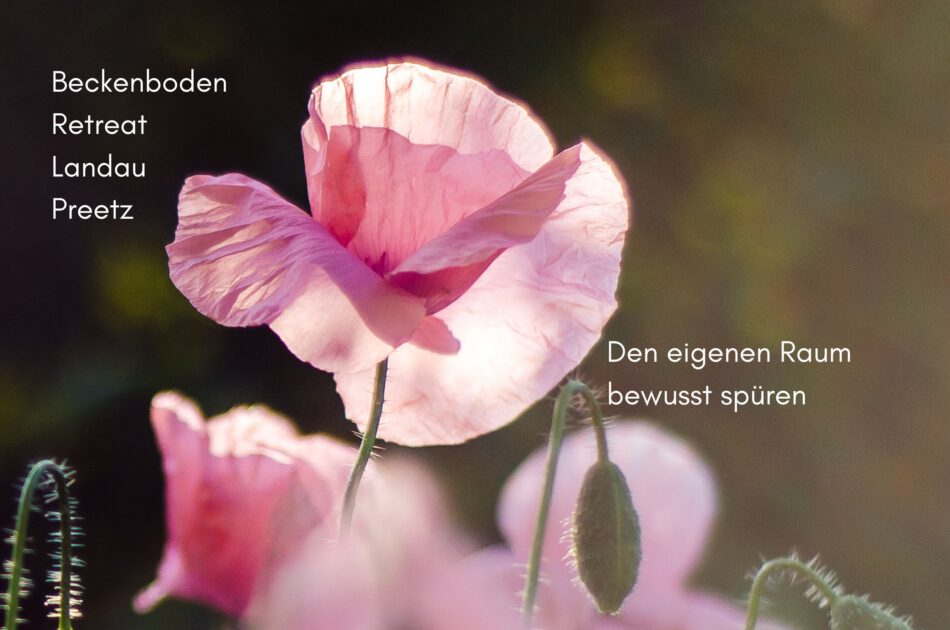Klangschalen, Kristall schalen, sound healing, meditation, entspannung, Yoga nervensystem regulieren, selbstheilung musikalische Lesung musikalische begleitung Resilienz Training, Wofür brennst du, Wirbelsäulentherapie nach breuss, massage , Antar Mourna, magische Vagusnerv, regulierte Nervensystem
