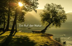 Klangschalen, Kristall schalen, sound healing, meditation, entspannung, Yoga nervensystem regulieren, selbstheilung musikalische Lesung musikalische begleitung Resilienz Training, Wofür brennst du, Wirbelsäulentherapie nach breuss, massage , Antar Mourna, magische Vagusnerv, regulierte Nervensystem