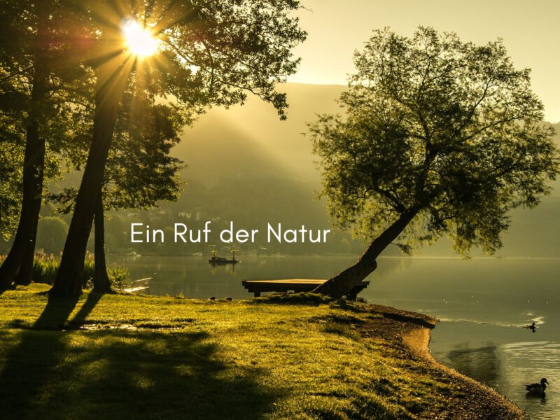 Ein Ruf der Natur