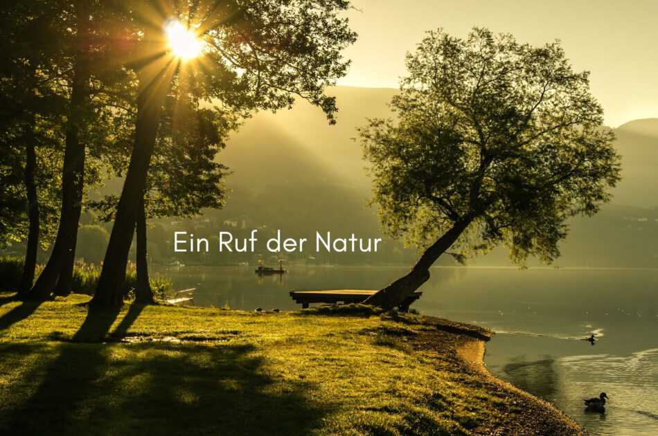 Klangschalen, Kristall schalen, sound healing, meditation, entspannung, Yoga nervensystem regulieren, selbstheilung musikalische Lesung musikalische begleitung Resilienz Training, Wofür brennst du, Wirbelsäulentherapie nach breuss, massage , Antar Mourna, magische Vagusnerv, regulierte Nervensystem