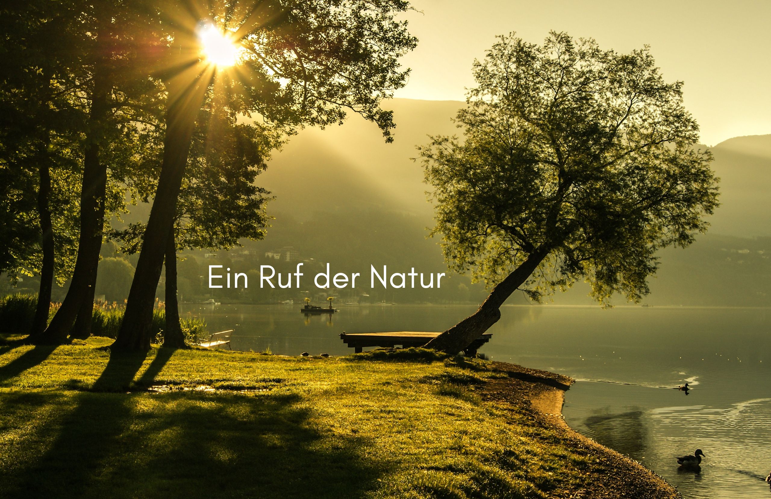 Ein Ruf der Natur