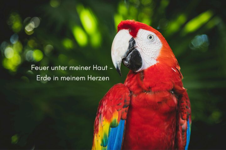 Klangschalen, Kristall schalen, sound healing, meditation, entspannung, Yoga nervensystem regulieren, selbstheilung musikalische Lesung musikalische begleitung Resilienz Training, Wofür brennst du, Wirbelsäulentherapie nach breuss, massage , Antar Mourna, magische Vagusnerv, regulierte Nervensystem