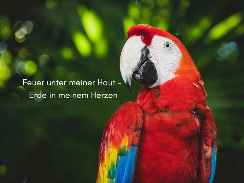 Feuer unter meiner Haut – Erde in meinem Herzen