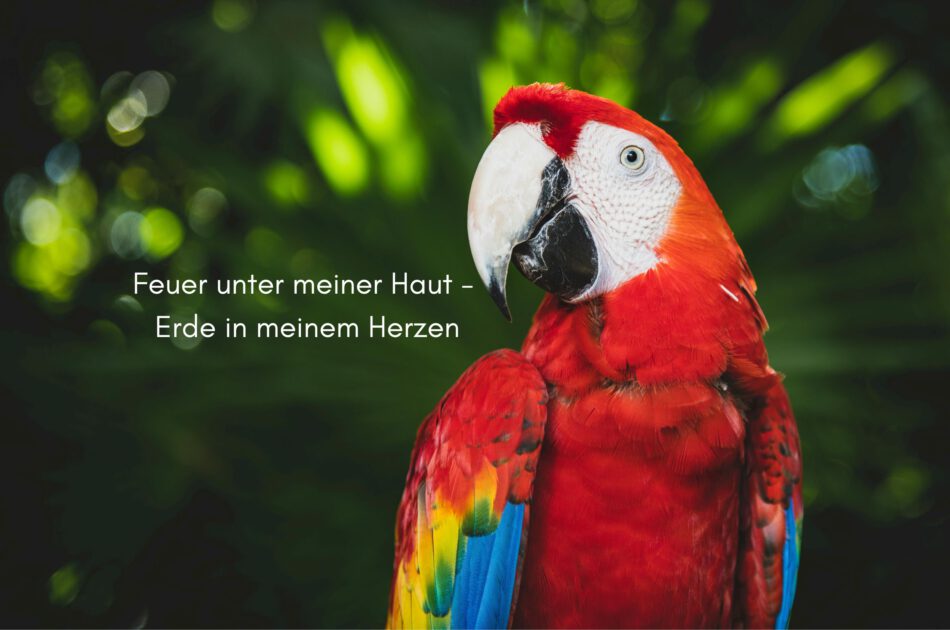 Klangschalen, Kristall schalen, sound healing, meditation, entspannung, Yoga nervensystem regulieren, selbstheilung musikalische Lesung musikalische begleitung Resilienz Training, Wofür brennst du, Wirbelsäulentherapie nach breuss, massage , Antar Mourna, magische Vagusnerv, regulierte Nervensystem