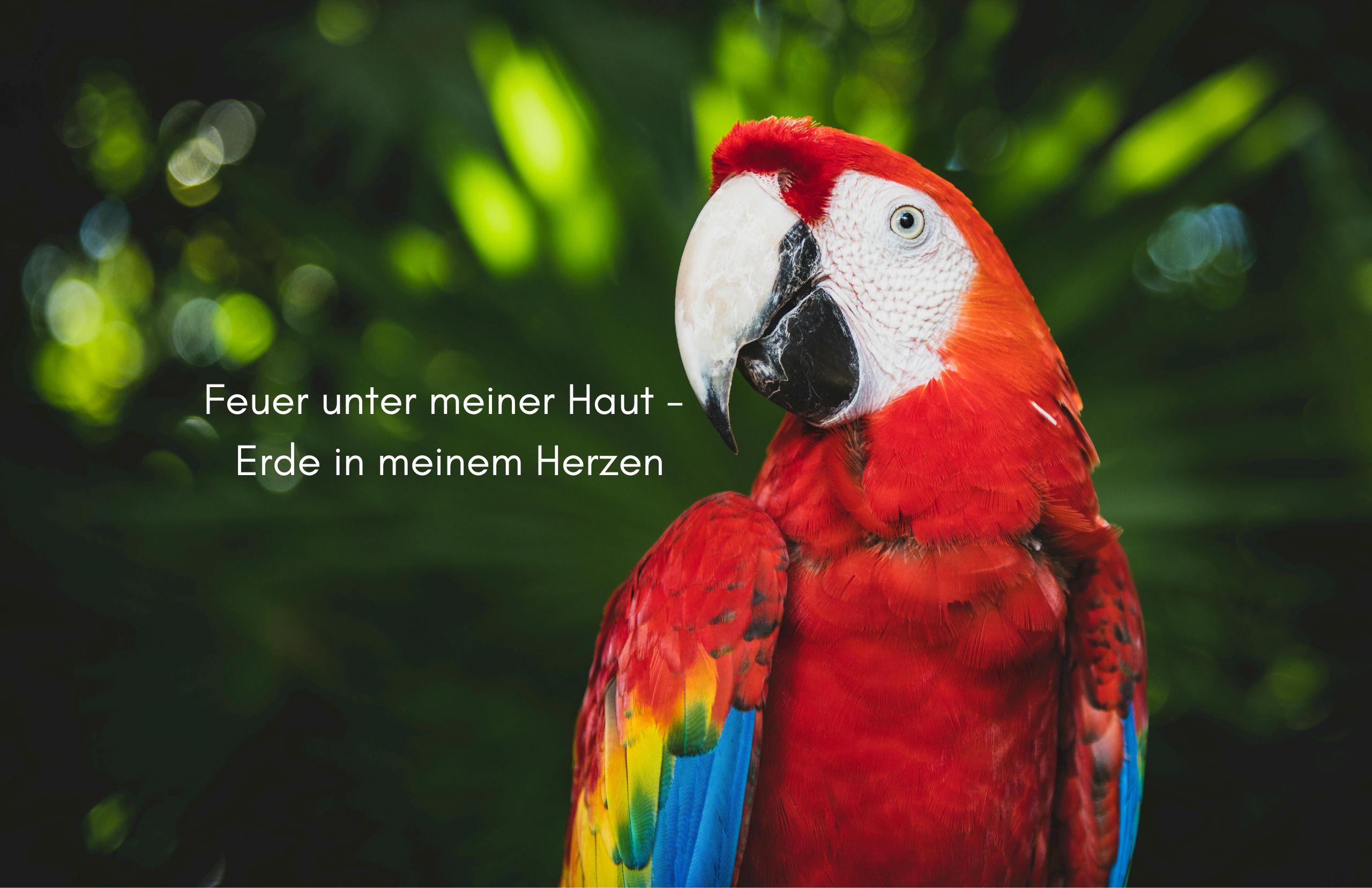 Feuer unter meiner Haut – Erde in meinem Herzen Feuer unter meiner Haut – Erde in meinem Herzen