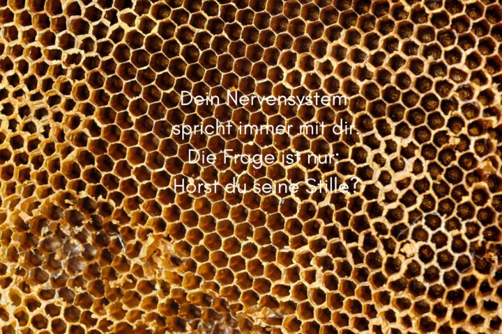 Klangschalen, Kristall schalen, sound healing, meditation, entspannung, Yoga nervensystem regulieren, selbstheilung musikalische Lesung musikalische begleitung Resilienz Training, Wofür brennst du, Wirbelsäulentherapie nach breuss, massage , Antar Mourna, magische Vagusnerv, regulierte Nervensystem