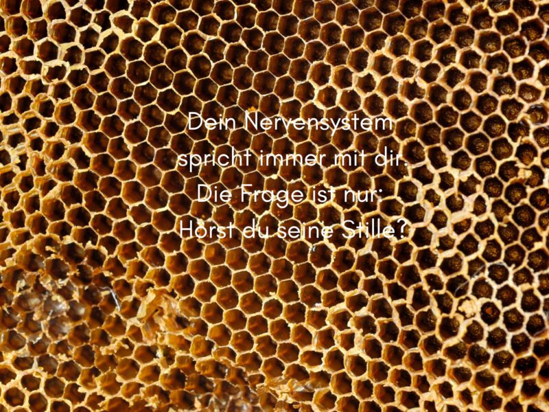 Dein Nervensystem spricht immer mit dir. Die Frage ist nur: Hörst du seine Stille?