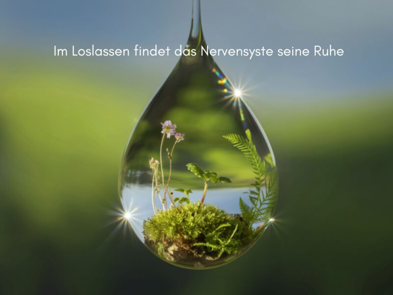 Im loslassen findet das Nervensystem Ruhe