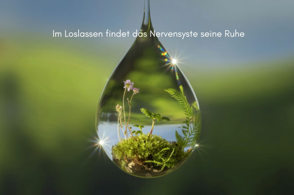 Klangschalen, Kristall schalen, sound healing, meditation, entspannung, Yoga nervensystem regulieren, selbstheilung musikalische Lesung musikalische begleitung Resilienz Training, Wofür brennst du, Wirbelsäulentherapie nach breuss, massage , Antar Mourna, magische Vagusnerv, regulierte Nervensystem