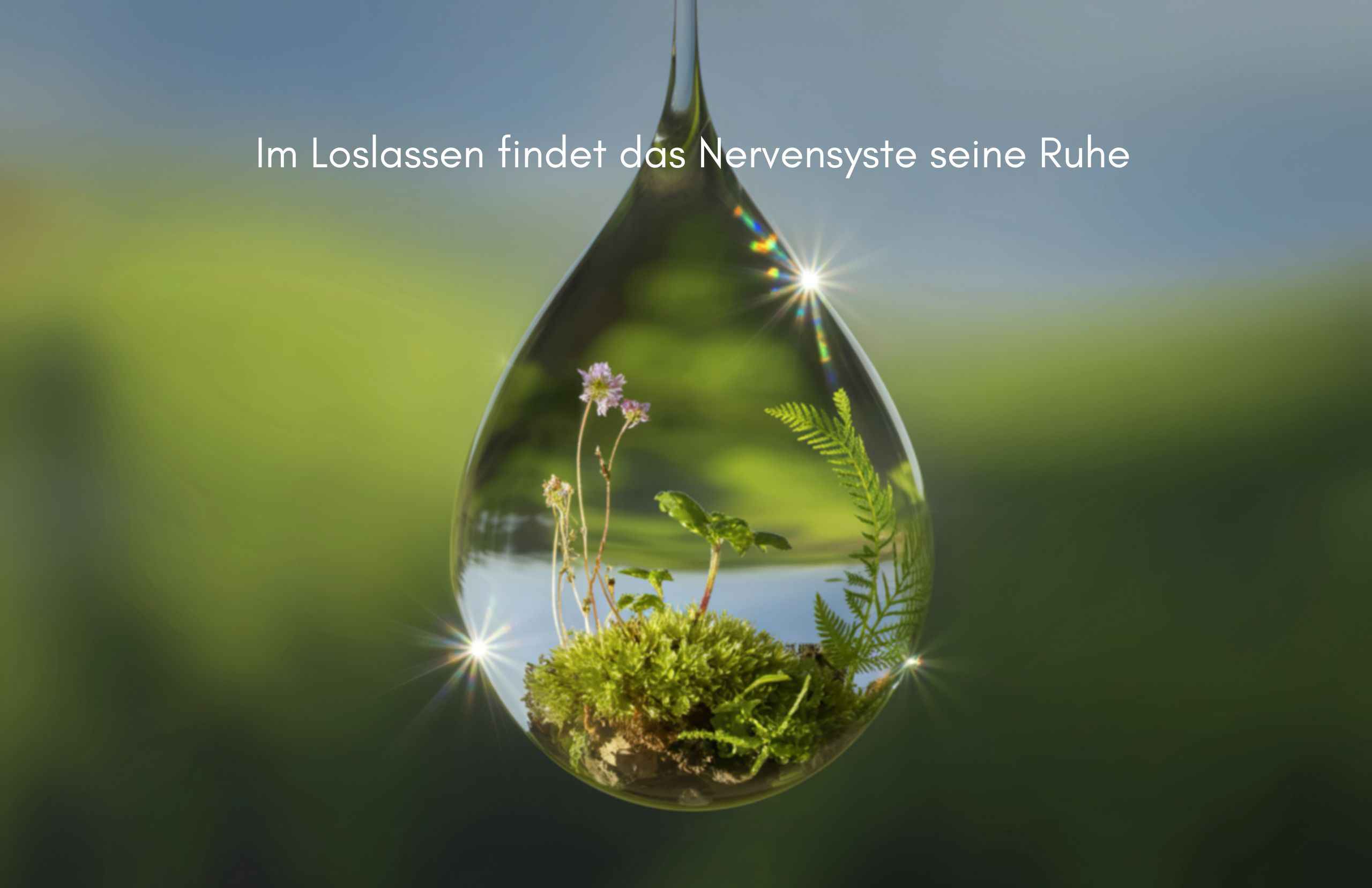 Im loslassen findet das Nervensystem Ruhe Im loslassen findet das Nervensystem Ruhe