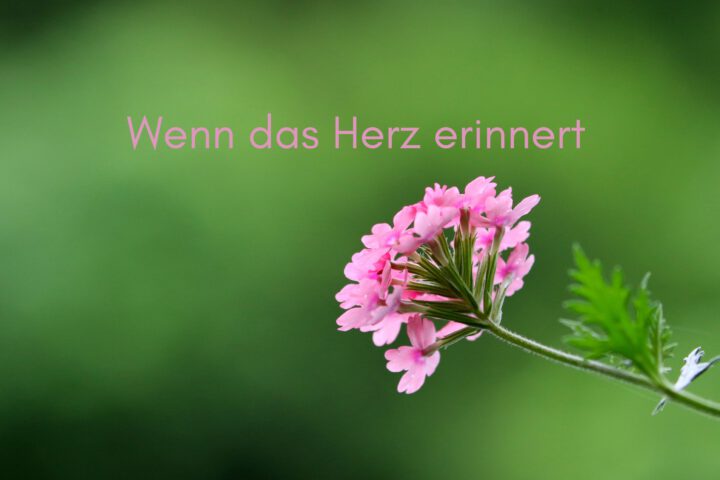 Klangschalen, Kristall schalen, sound healing, meditation, entspannung, Yoga nervensystem regulieren, selbstheilung musikalische Lesung musikalische begleitung Resilienz Training, Wofür brennst du, Wirbelsäulentherapie nach breuss, massage , Antar Mourna, magische Vagusnerv, regulierte Nervensystem
