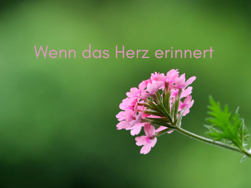 Trauer, Nervensystem & die Kunst, trotzdem zu ruhen