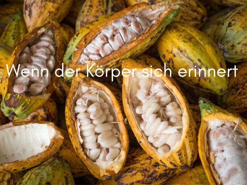 Die Sprache des Körpers – wenn Wut zur Erinnerung wird