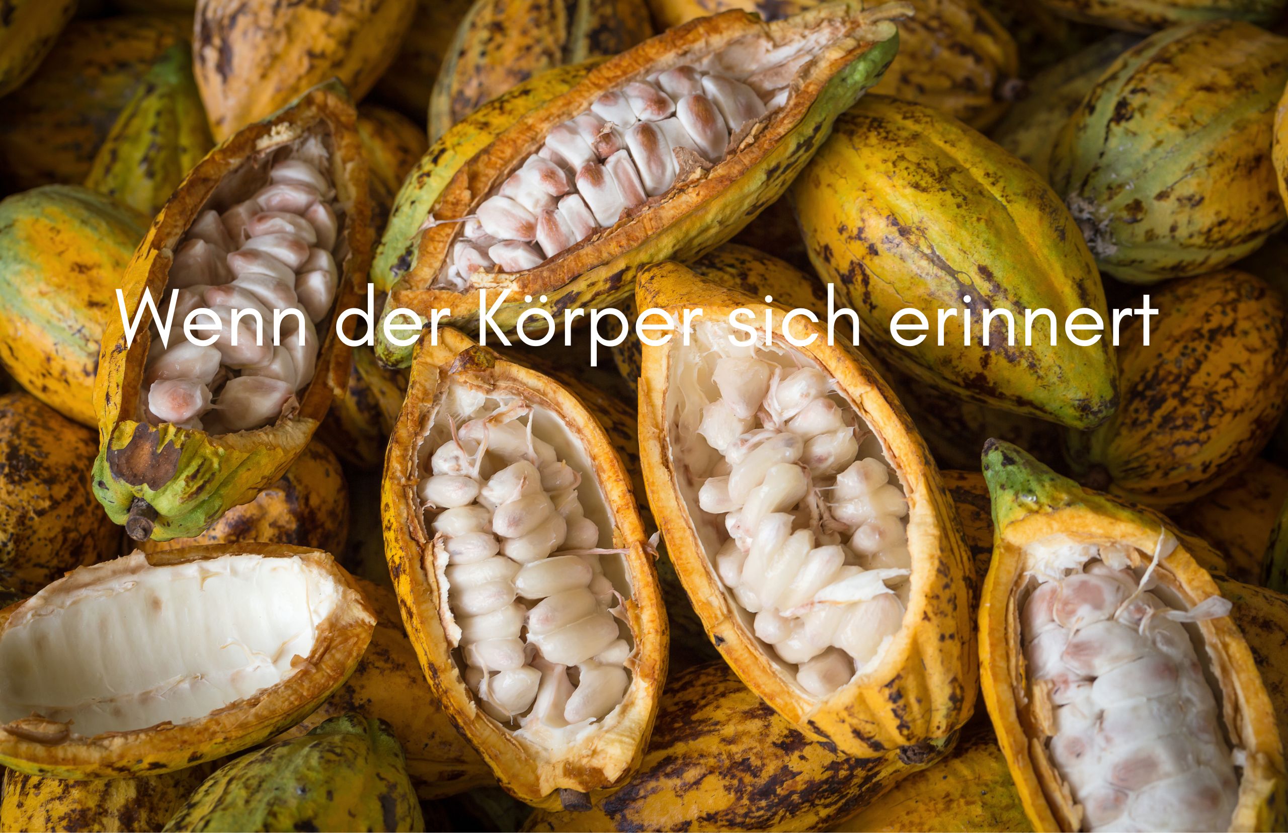 Die Sprache des Körpers – wenn Wut zur Erinnerung wird Die Sprache des Körpers – wenn Wut zur Erinnerung wird