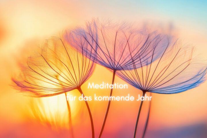 Klangschalen, Kristall schalen, sound healing, meditation, entspannung, Yoga nervensystem regulieren, selbstheilung musikalische Lesung musikalische begleitung Resilienz Training, Wofür brennst du, Wirbelsäulentherapie nach breuss, massage , Antar Mourna, magische Vagusnerv, regulierte Nervensystem