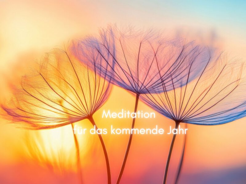 Ankommen – Meditation für das kommende Jahr