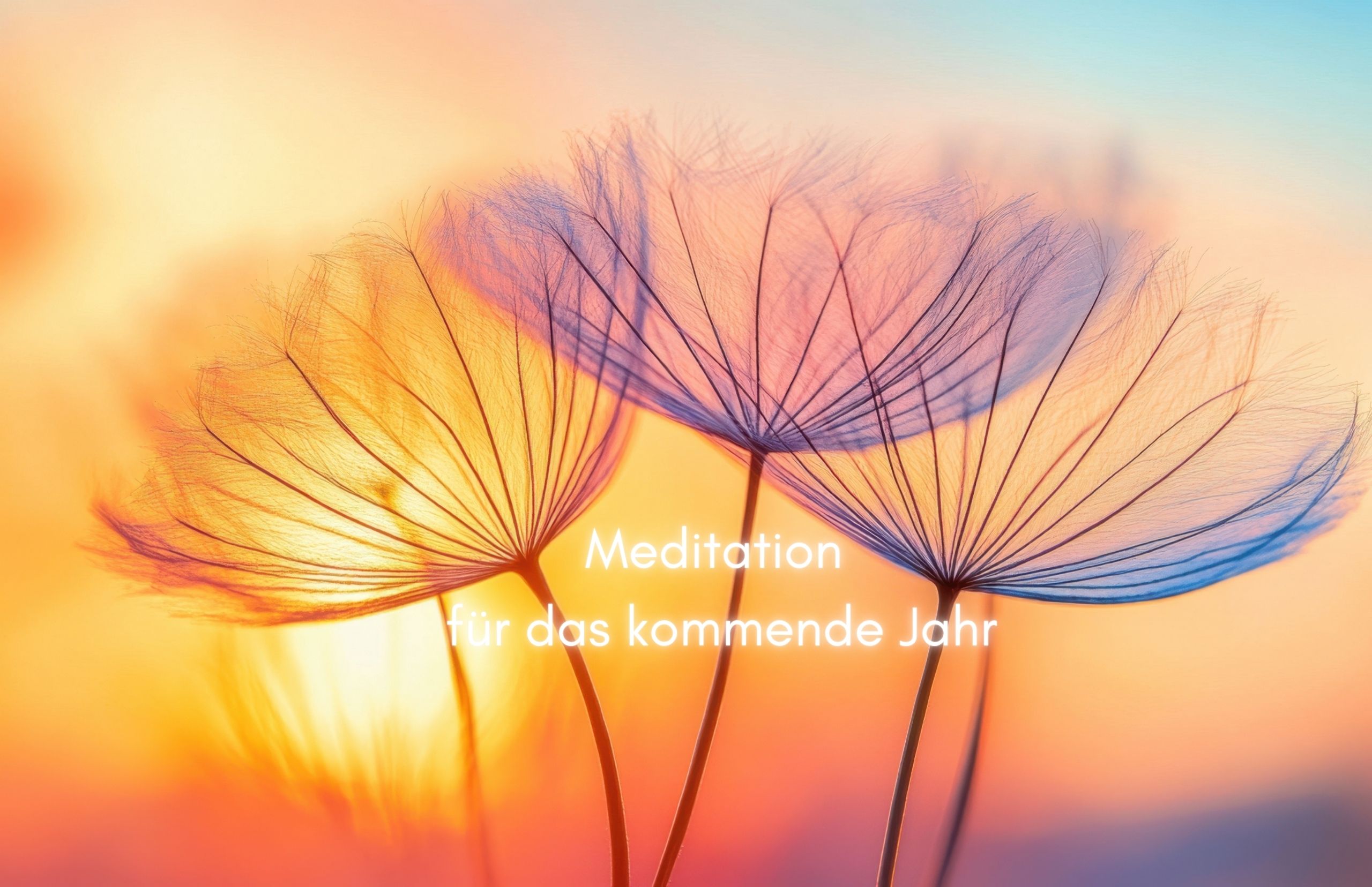 Ankommen – Meditation für das kommende Jahr Ankommen – Meditation für das kommende Jahr