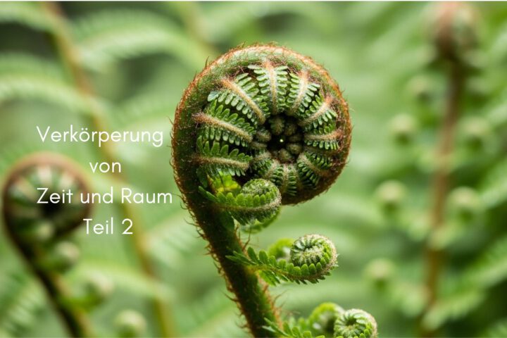 Klangschalen, Kristall schalen, sound healing, meditation, entspannung, Yoga nervensystem regulieren, selbstheilung musikalische Lesung musikalische begleitung Resilienz Training, Wofür brennst du, Wirbelsäulentherapie nach breuss, massage , Antar Mourna, magische Vagusnerv, regulierte Nervensystem