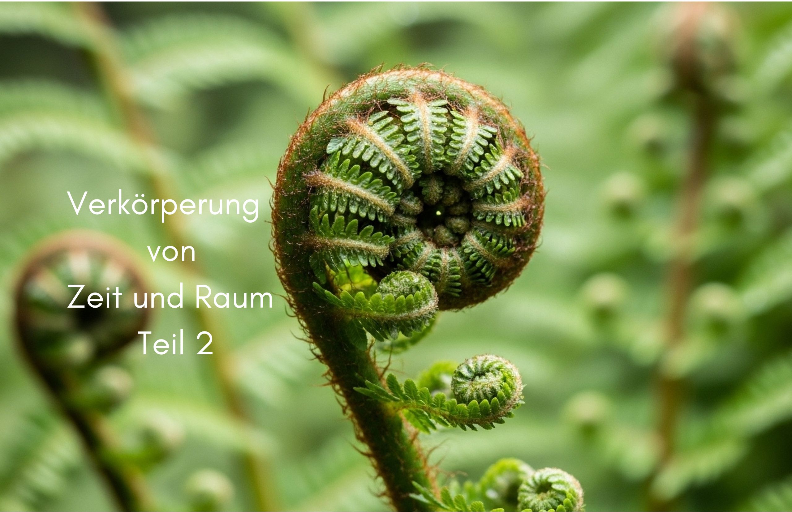 Land und Natur als Koregulator Land und Natur als Koregulator