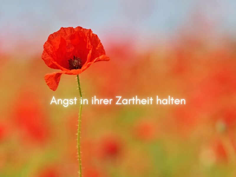 Wenn du Unruhe oder Angst im Körper spürst – dann lies bitte weiter