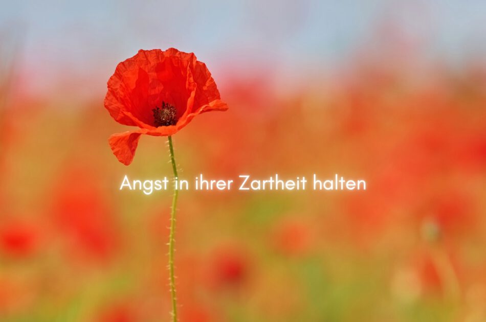 Klangschalen, Kristall schalen, sound healing, meditation, entspannung, Yoga nervensystem regulieren, selbstheilung musikalische Lesung musikalische begleitung Resilienz Training, Wofür brennst du, Wirbelsäulentherapie nach breuss, massage , Antar Mourna, magische Vagusnerv, regulierte Nervensystem