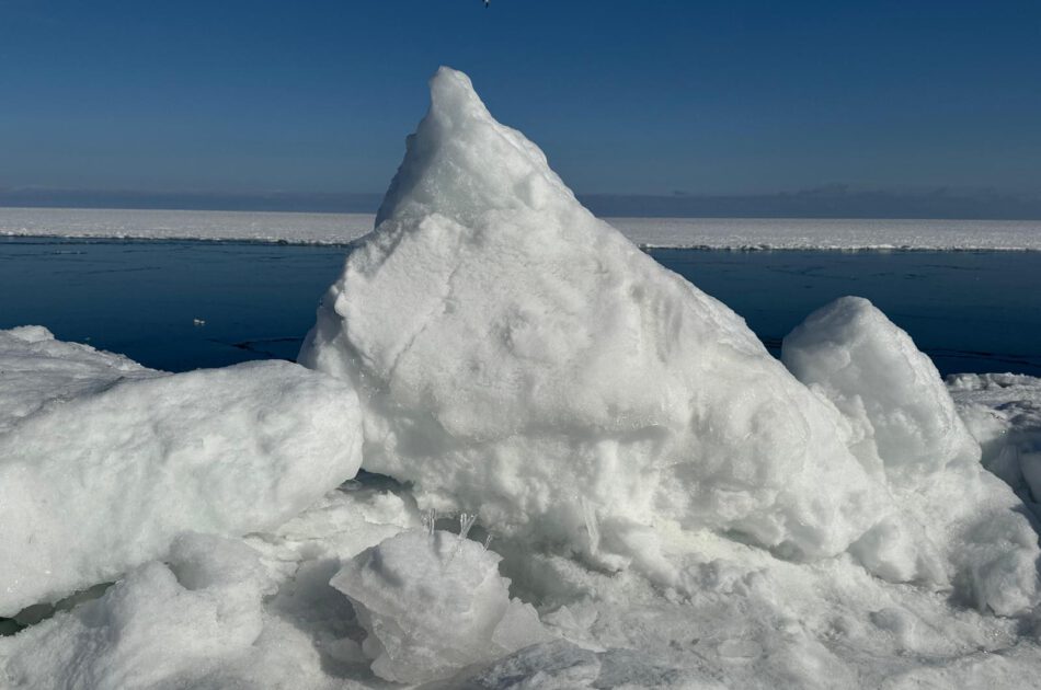 Klangschalen, Kristall schalen, sound healing, meditation, entspannung, Yoga nervensystem regulieren, selbstheilung musikalische Lesung musikalische begleitung Resilienz Training, Wofür brennst du, Wirbelsäulentherapie nach breuss, massage , Antar Mourna, magische Vagusnerv, regulierte Nervensystem