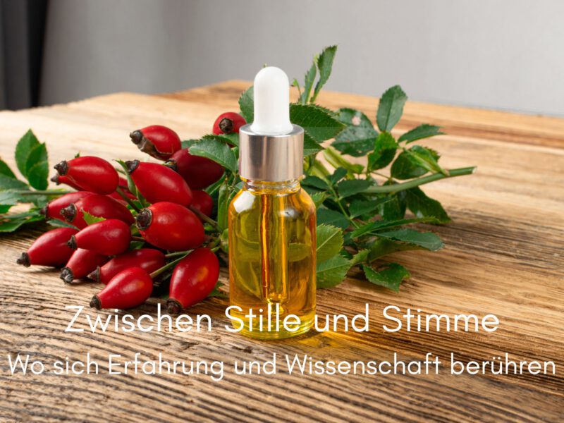 Zwischen Stille und Stimme – wo sich Erfahrung und Wissenschaft berühren