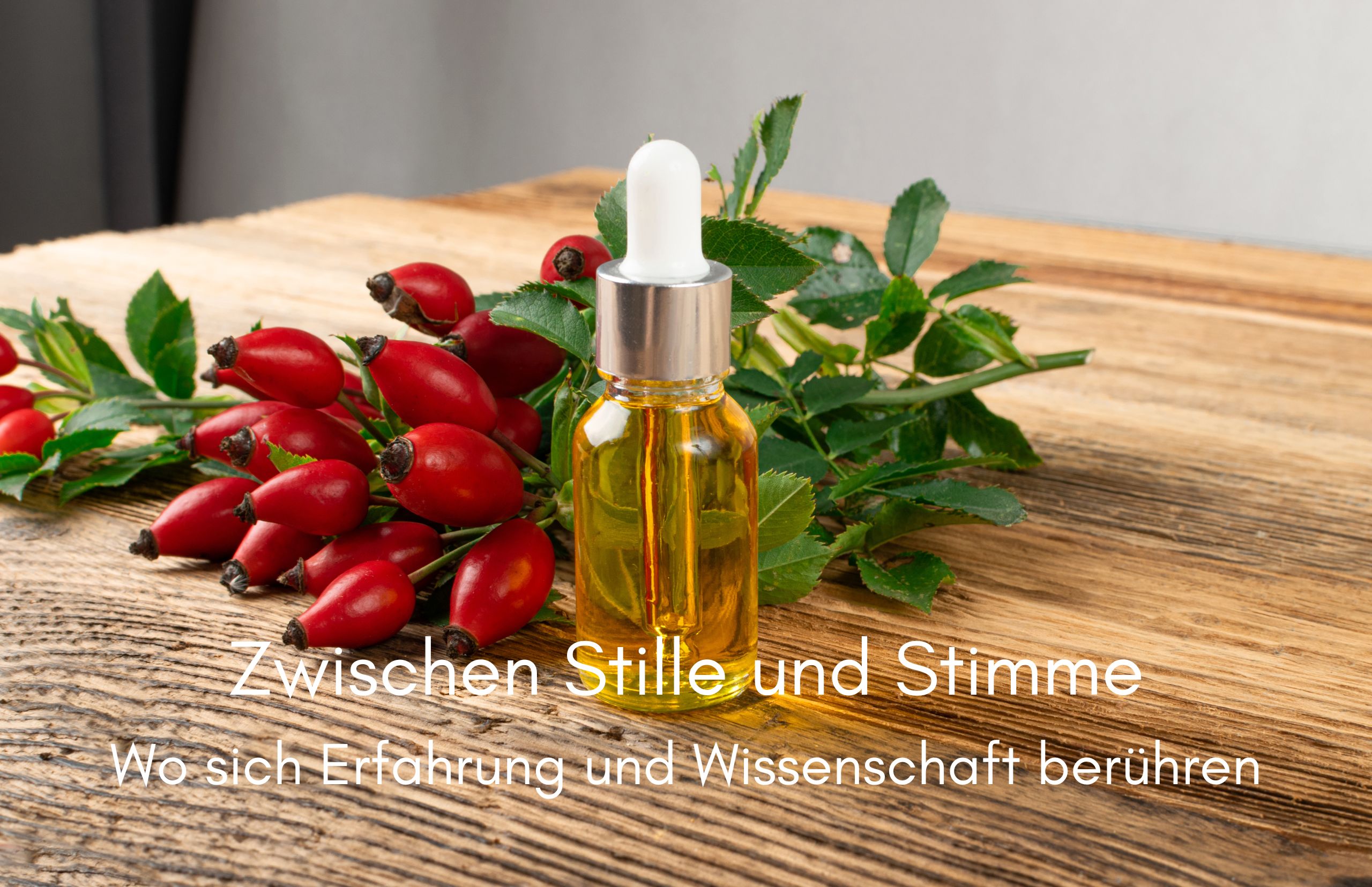 Zwischen Stille und Stimme – wo sich Erfahrung und Wissenschaft berühren Zwischen Stille und Stimme – wo sich Erfahrung und Wissenschaft berühren