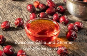 Klangschalen, Kristall schalen, sound healing, meditation, entspannung, Yoga nervensystem regulieren, selbstheilung musikalische Lesung musikalische begleitung Resilienz Training, Wofür brennst du, Wirbelsäulentherapie nach breuss, massage , Antar Mourna, magische Vagusnerv, regulierte Nervensystem