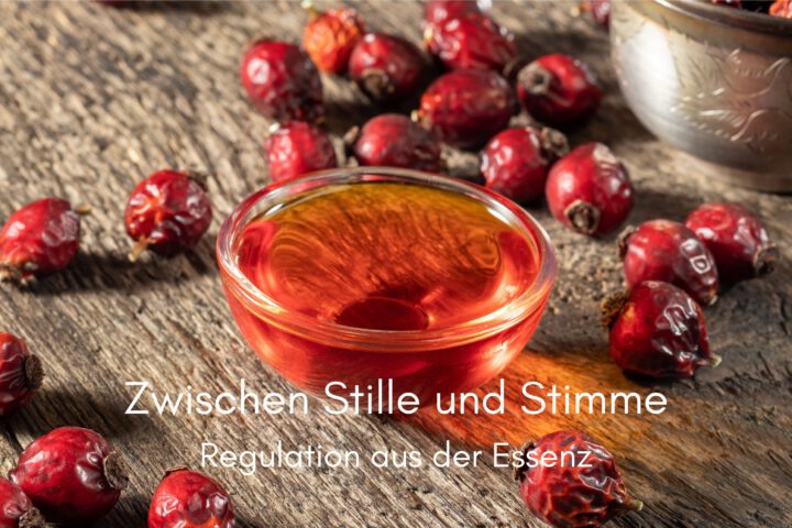 Klangschalen, Kristall schalen, sound healing, meditation, entspannung, Yoga nervensystem regulieren, selbstheilung musikalische Lesung musikalische begleitung Resilienz Training, Wofür brennst du, Wirbelsäulentherapie nach breuss, massage , Antar Mourna, magische Vagusnerv, regulierte Nervensystem