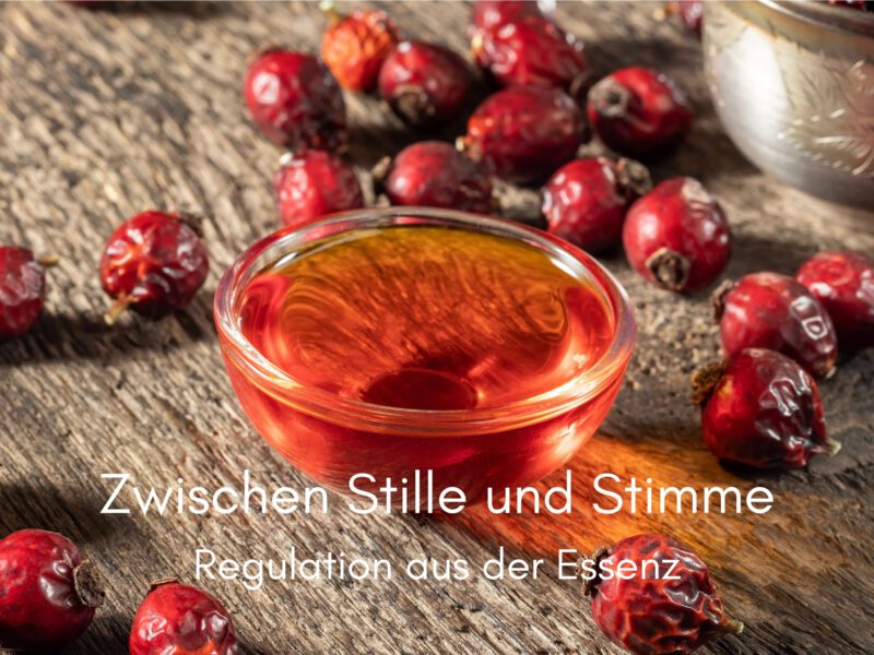 Zwischen Stille und Stimme – Regulation aus der Essenz