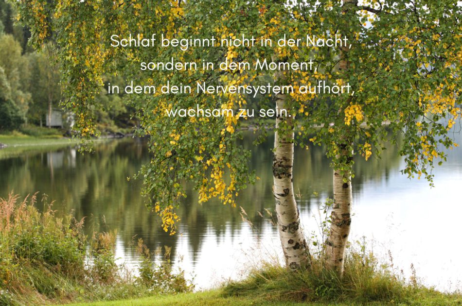 Klangschalen, Kristall schalen, sound healing, meditation, entspannung, Yoga nervensystem regulieren, selbstheilung musikalische Lesung musikalische begleitung Resilienz Training, Wofür brennst du, Wirbelsäulentherapie nach breuss, massage , Antar Mourna, magische Vagusnerv, regulierte Nervensystem