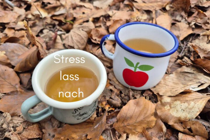 Klangschalen, Kristall schalen, sound healing, meditation, entspannung, Yoga nervensystem regulieren, selbstheilung musikalische Lesung musikalische begleitung Resilienz Training, Wofür brennst du, Wirbelsäulentherapie nach breuss, massage , Antar Mourna, magische Vagusnerv, regulierte Nervensystem