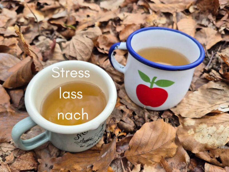 Stress lass nach! Meine Auszeit auf La Palma naht – Bin im Urlaub vom 22. – 29. April 2026