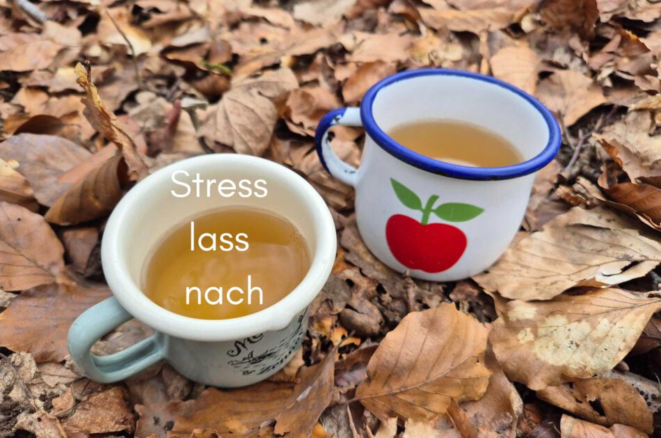 Klangschalen, Kristall schalen, sound healing, meditation, entspannung, Yoga nervensystem regulieren, selbstheilung musikalische Lesung musikalische begleitung Resilienz Training, Wofür brennst du, Wirbelsäulentherapie nach breuss, massage , Antar Mourna, magische Vagusnerv, regulierte Nervensystem