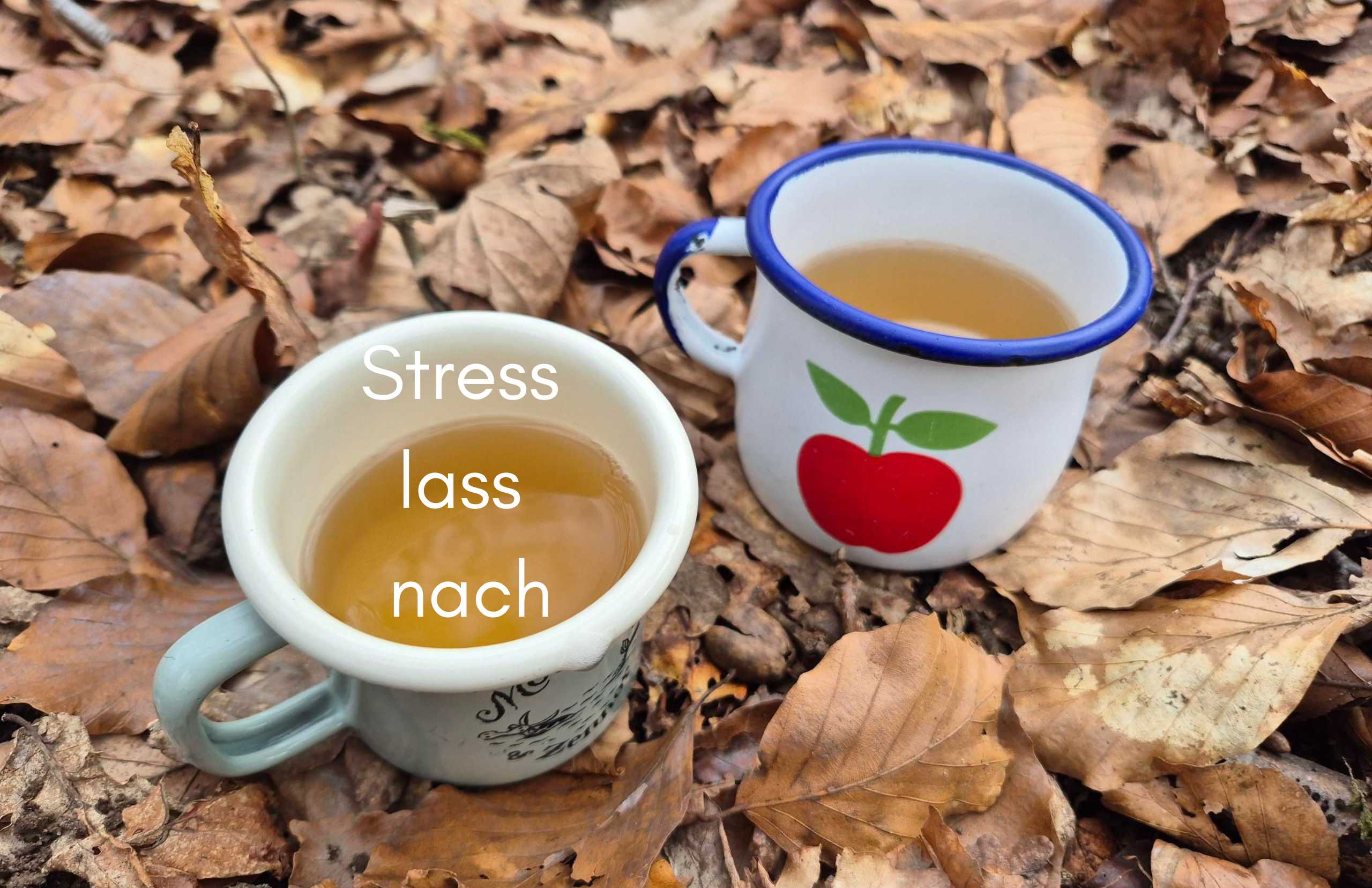 Stress lass nach! Meine Auszeit auf La Palma naht – Bin im Urlaub vom 22. – 29. April 2026 Stress lass nach! Meine Auszeit auf La Palma naht – Bin im Urlaub vom 22. – 29. April 2026