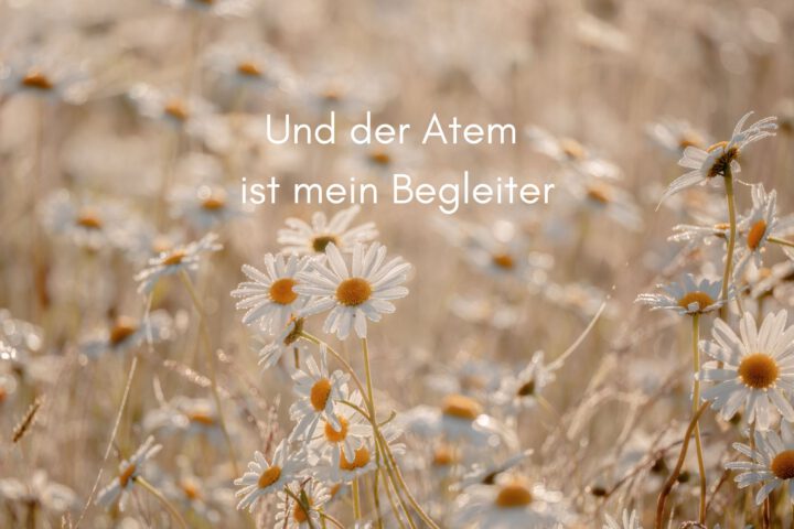Klangschalen, Kristall schalen, sound healing, meditation, entspannung, Yoga nervensystem regulieren, selbstheilung musikalische Lesung musikalische begleitung Resilienz Training, Wofür brennst du, Wirbelsäulentherapie nach breuss, massage , Antar Mourna, magische Vagusnerv, regulierte Nervensystem