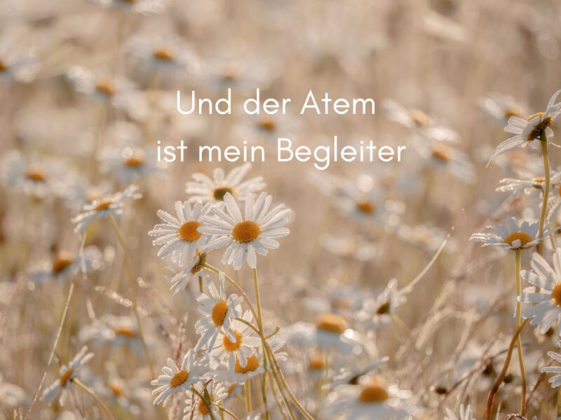 Und der Atem ist mein Begleiter