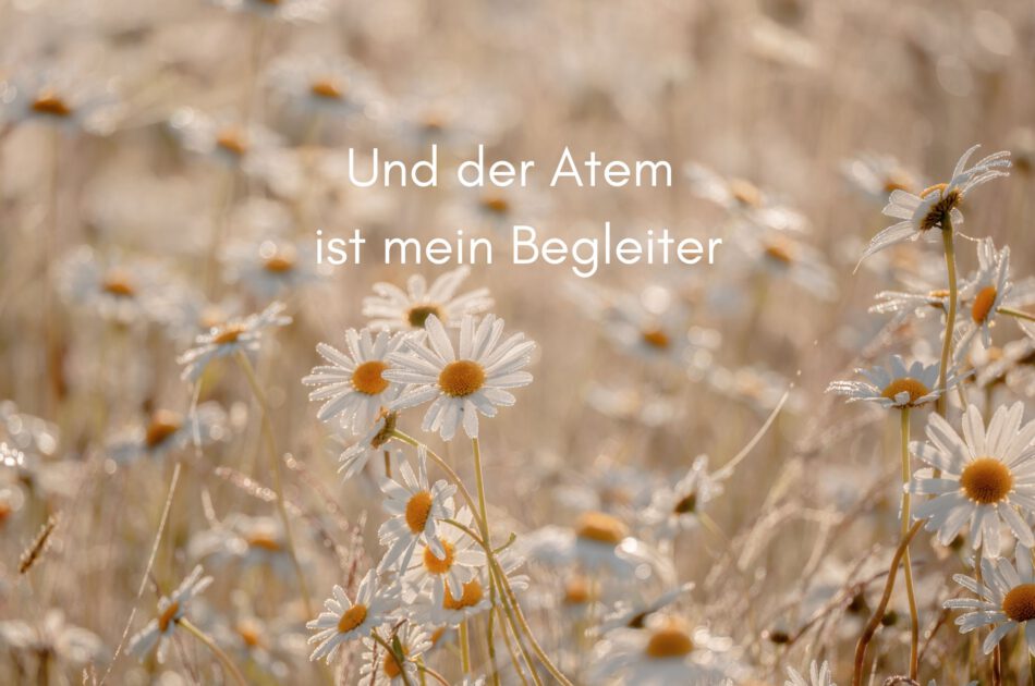 Klangschalen, Kristall schalen, sound healing, meditation, entspannung, Yoga nervensystem regulieren, selbstheilung musikalische Lesung musikalische begleitung Resilienz Training, Wofür brennst du, Wirbelsäulentherapie nach breuss, massage , Antar Mourna, magische Vagusnerv, regulierte Nervensystem