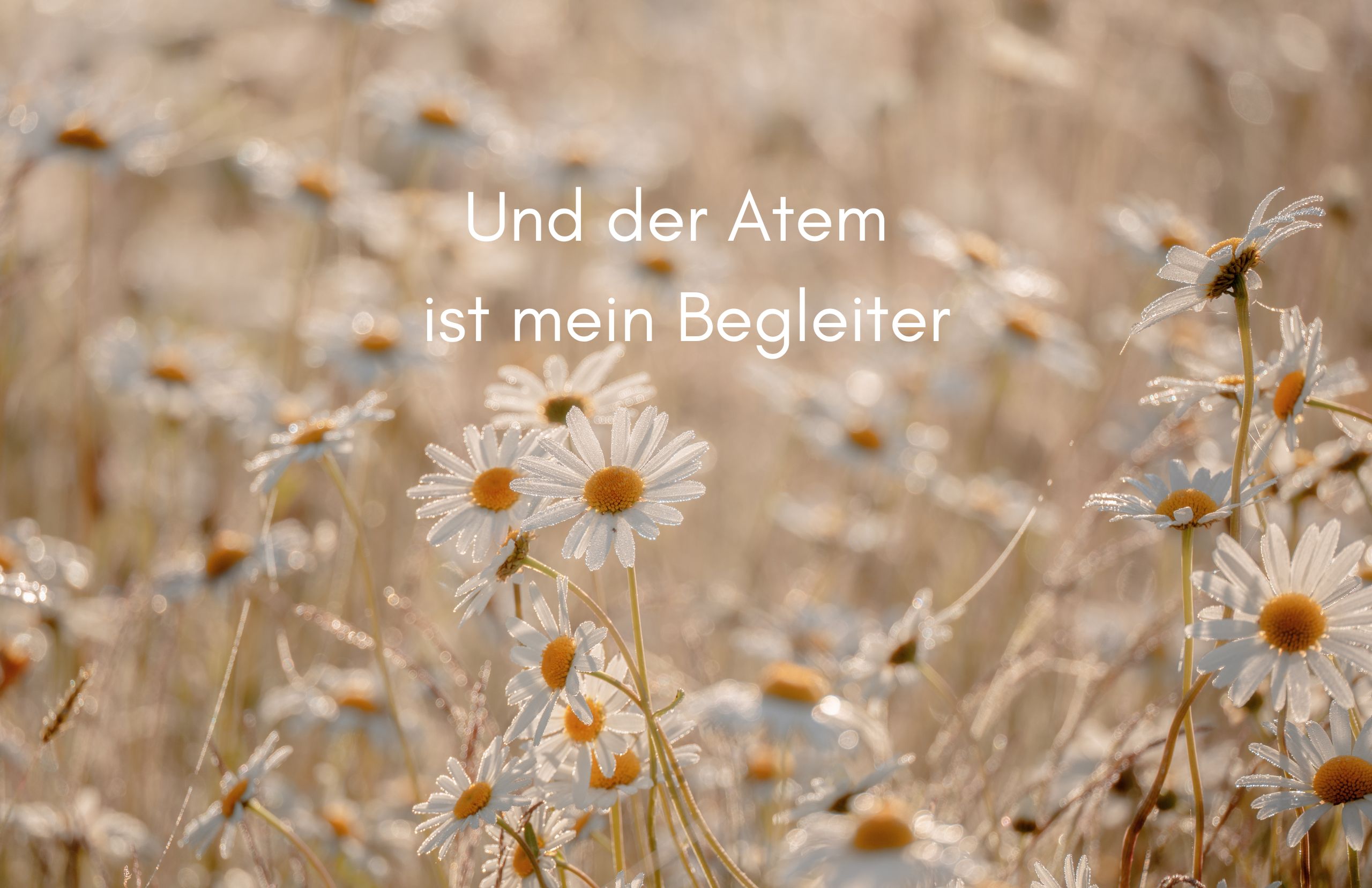 Und der Atem ist mein Begleiter Und der Atem ist mein Begleiter
