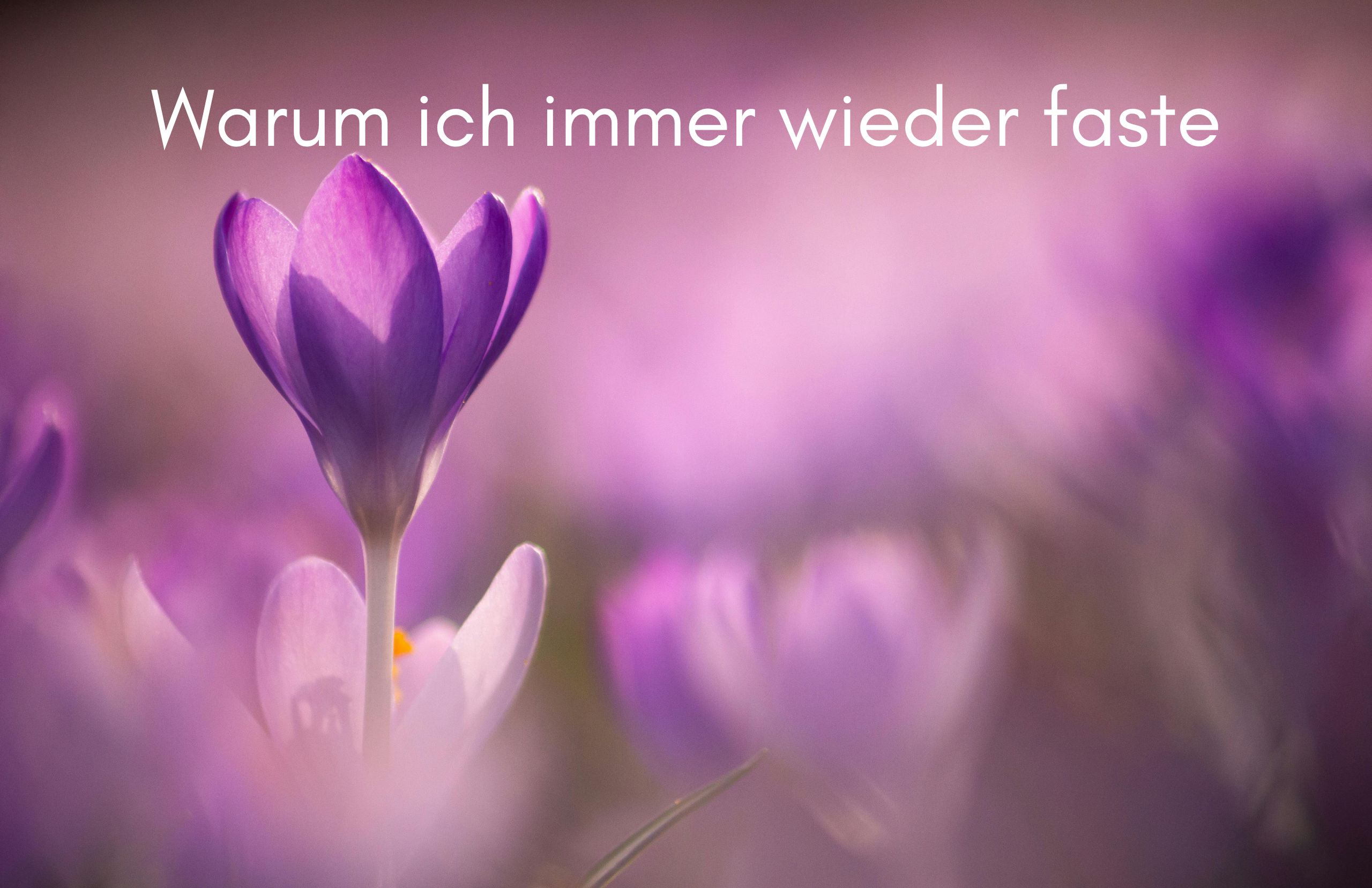 Fasten – Die Kunst, sich zu erinnern Fasten – Die Kunst, sich zu erinnern