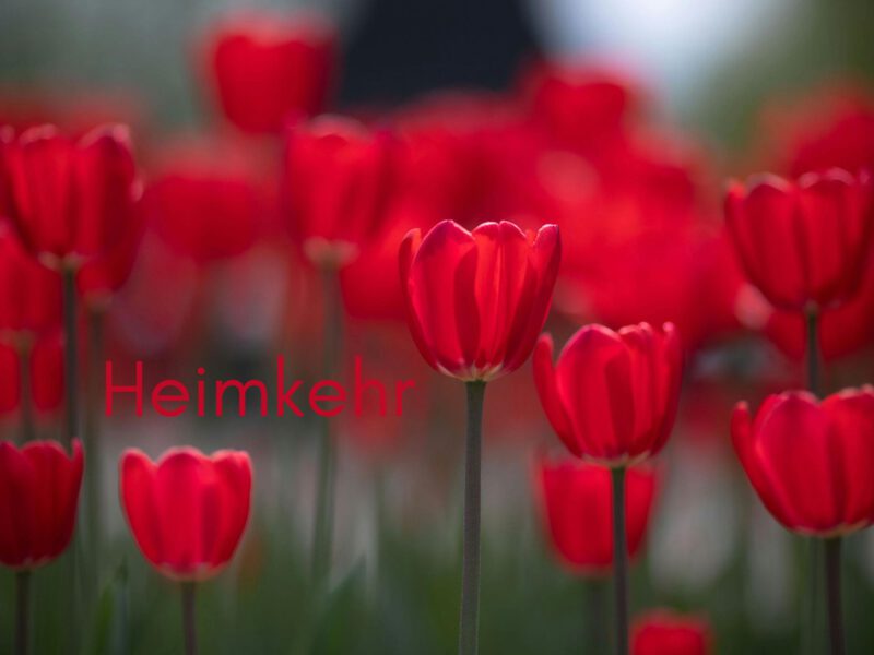 Heimkehr – alles ist schon in uns