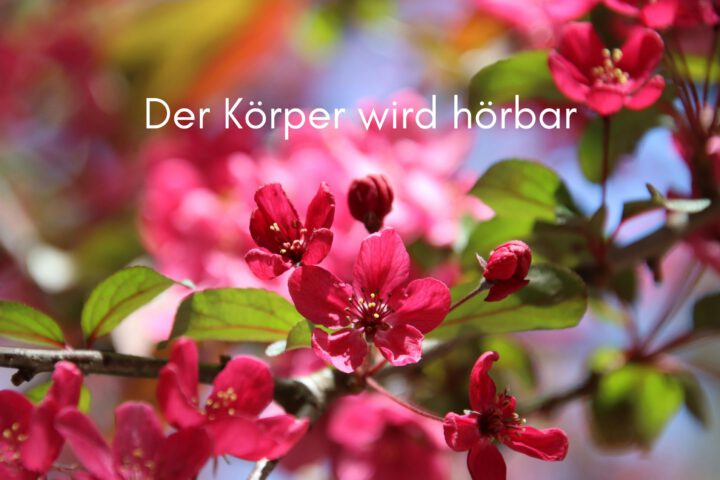 Klangschalen, Kristall schalen, sound healing, meditation, entspannung, Yoga nervensystem regulieren, selbstheilung musikalische Lesung musikalische begleitung Resilienz Training, Wofür brennst du, Wirbelsäulentherapie nach breuss, massage , Antar Mourna, magische Vagusnerv, regulierte Nervensystem