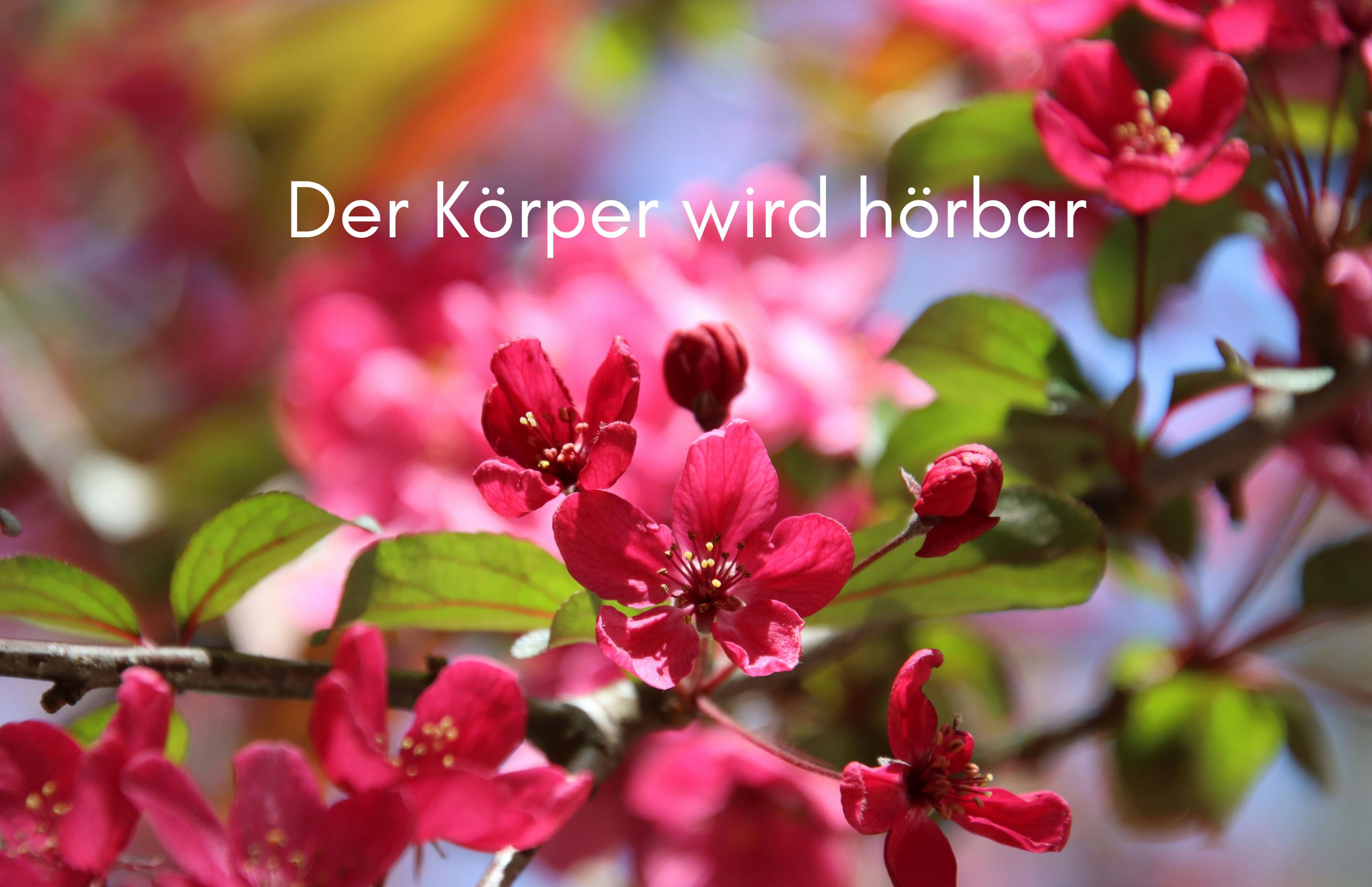 Der Körper wird hörbar Der Körper wird hörbar