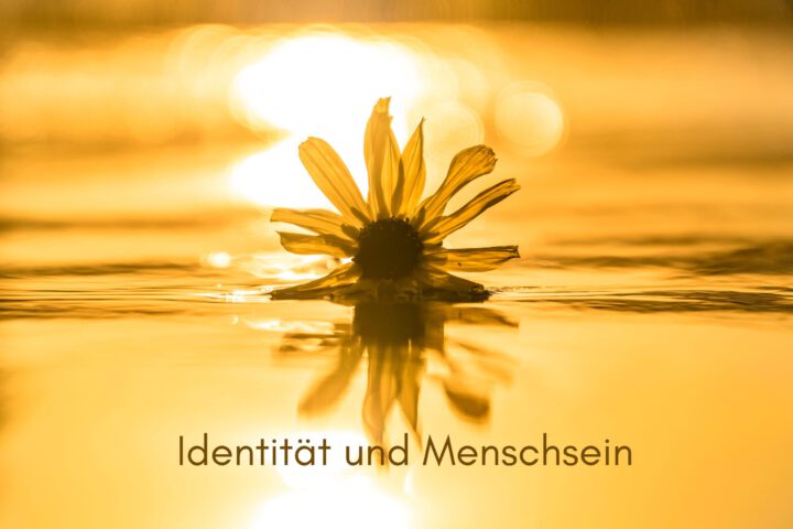 Klangschalen, Kristall schalen, sound healing, meditation, entspannung, Yoga nervensystem regulieren, selbstheilung musikalische Lesung musikalische begleitung Resilienz Training, Wofür brennst du, Wirbelsäulentherapie nach breuss, massage , Antar Mourna, magische Vagusnerv, regulierte Nervensystem